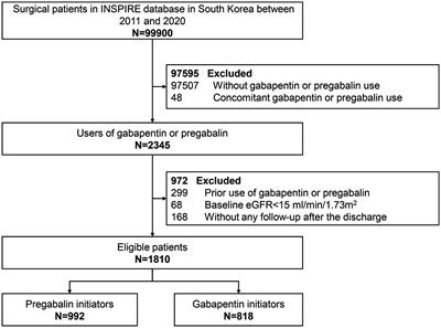 Association of perioperative initiation of gabapentin versus pregabalin with kidney function: a target trial emulation study